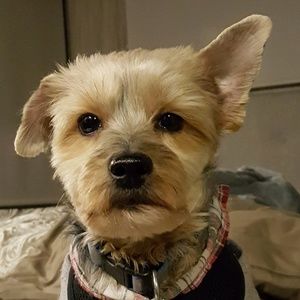 Meet your Posher, Shelly